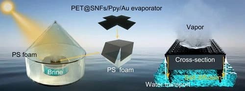 Scalable Superhydrophilic Solar Evaporators for Long‐Term Stable Desalination, Fresh Water Collection and Salt Collection by Vertical Salt Deposition