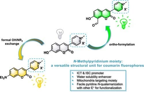 Revisiting the Chemistry and Photophysics of 3‐(N‐Methylpyridinium‐4‐yl)Coumarins for Designing “Covalent‐Assembly” and “Molecular Disassembly” Fluorescent Probes
