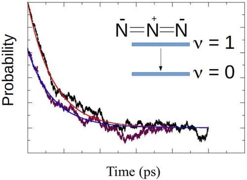 On the Statistical Regime, Coherence versus Incoherence and Ergodicity of Quantum Vibrational Trajectories in Soft Condensed Molecular Systems