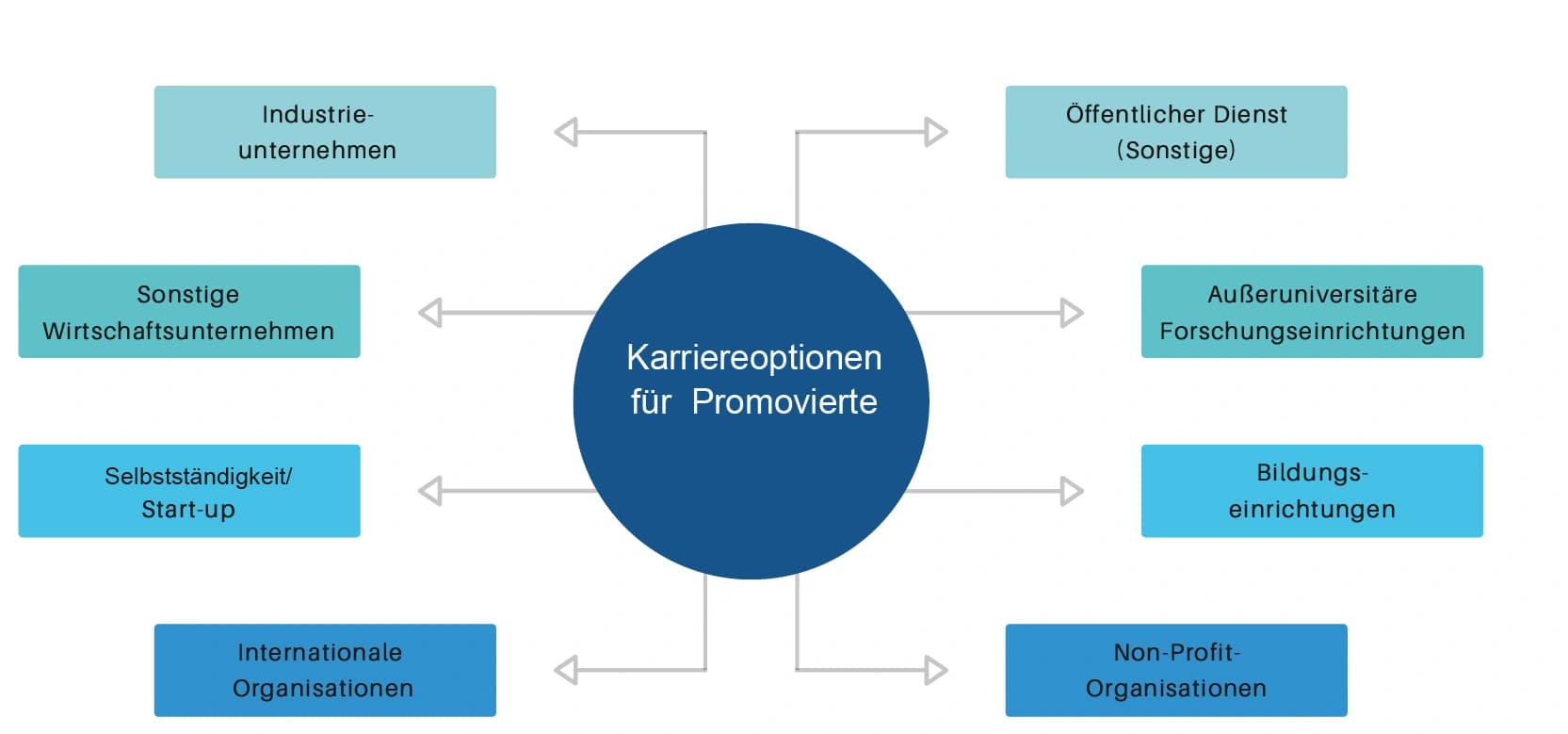 Alternativen zu Uni und Industrie