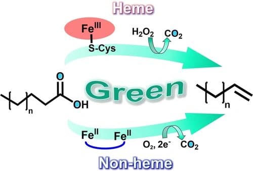 Reaction Mechanisms of Fe‐Dependent Fatty Acid Decarboxylases