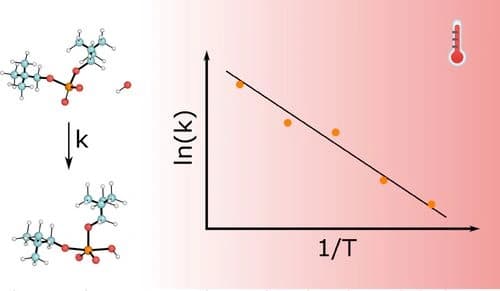 A Theoretical‐Computational Study of Phosphodiester Bond Cleavage Kinetics as a Function of the Temperature