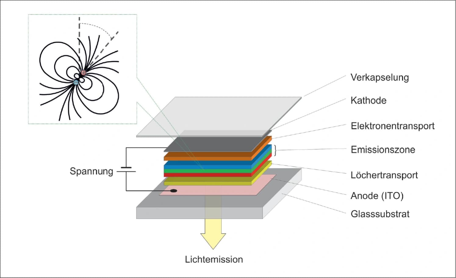 Mehr Licht durch orientierte Farbstoffmoleküle