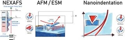 Correlation of the electronic structure and Li‐ion mobility with modulus and hardness in LiNi0.6Co0.2Mn0.2O2 cathodes by combined near edge X‐ray absorption finestructure spectroscopy, atomic force microscopy, and nanoindentation