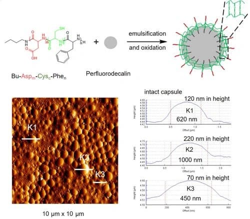 Cross‐linked Triblock Peptide Capsules as Potential Oxygen Carriers