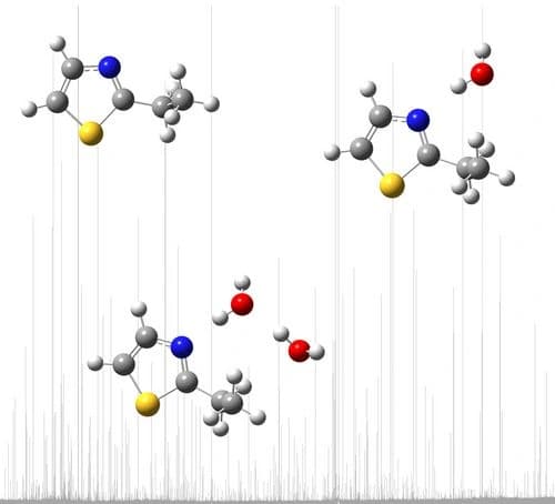 Hydrogen Bonding and Molecular Geometry in Isolated Hydrates of 2‐Ethylthiazole Characterised by Microwave Spectroscopy