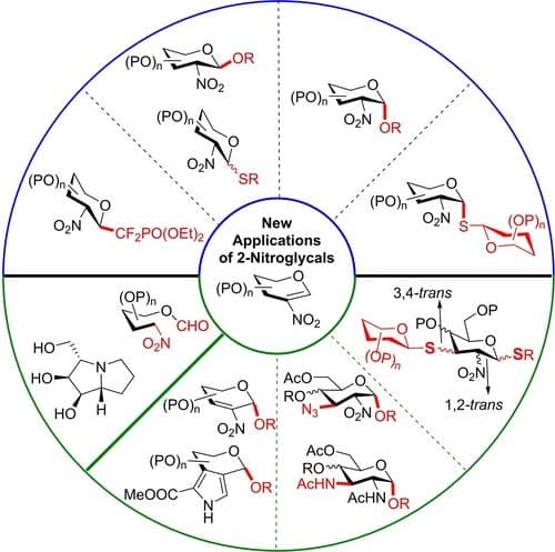 Recent Advances of 2‐Nitroglycals as Powerful Glycosyl Donors