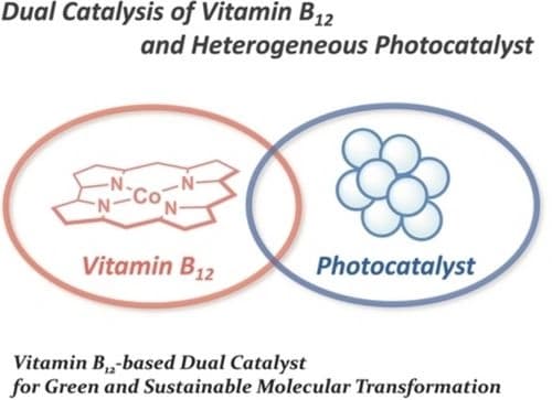 Green Molecular Transformation in Dual Catalysis: Photoredox Activation of Vitamin B12 Using Heterogeneous Photocatalyst