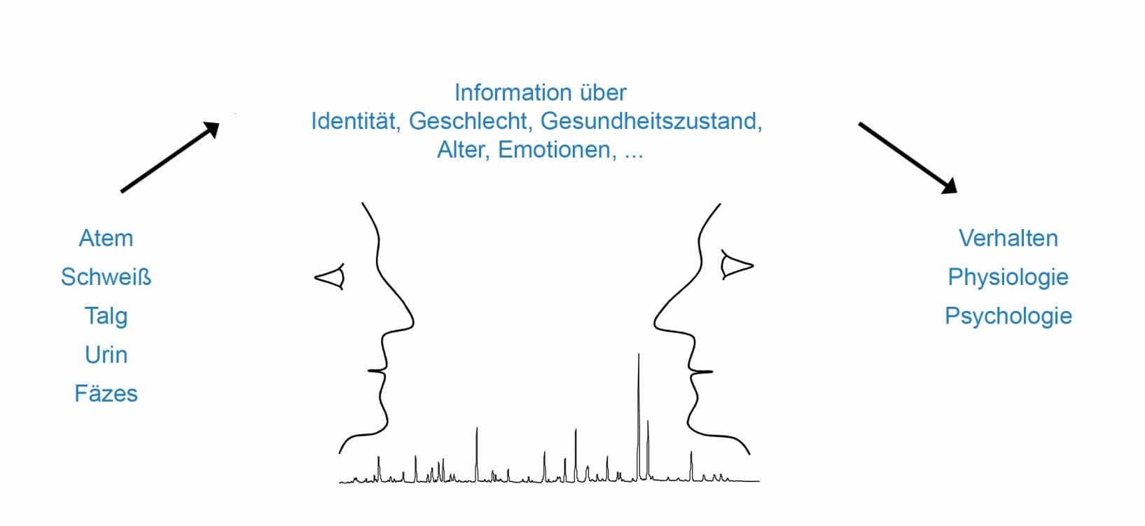 Trendbericht Lebensmittelchemie 2023