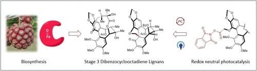 Mimicking Non‐Canonical Radical Cyclizations in the Synthesis of Dibenzocyclooctadiene Natural Products