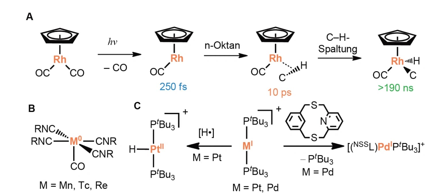 Nebengruppen, Bioanorganik und Koordinationschemie