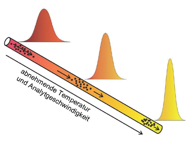 Gaschromatogramm in einer Minute