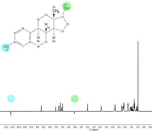 Identifying Exchangeable Protons in a 1D NMR Spectrum by Spatially Selective Exchange‐Editing