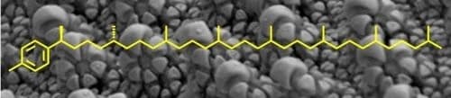 Socialane, a Nonaprenyl Terpene Hydrocarbon Surface Lipid from the Collembola Hypogastrura socialis