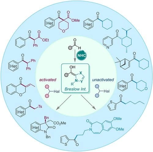 Cross‐Coupling Reaction of Alkyl Halides with Aldehydes through NHC Catalysis