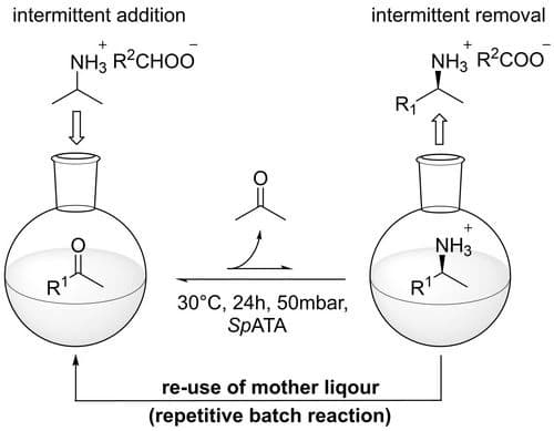 Continuous Preparative Application of Amine Transaminase‐Catalyzed Reactions with Integrated Crystallization