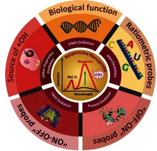 Recent Advances in Detection of Hydroxyl Radical by Responsive Fluorescence Nanoprobes