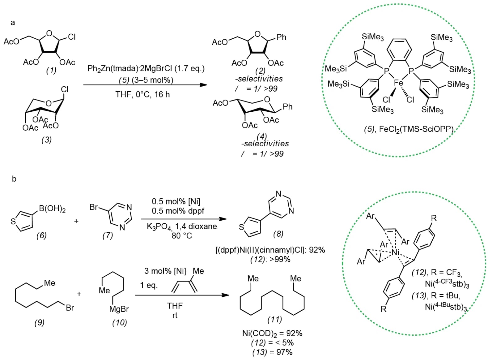 Some trends in sustainable catalysis development