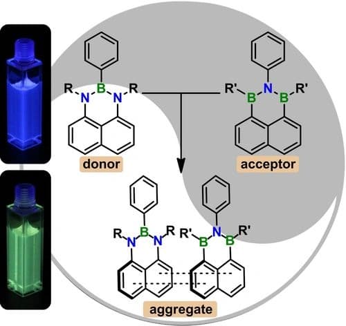 NBN‐ and BNB‐Phenalenyls: the Yin and Yang of Heteroatom‐doped π Systems