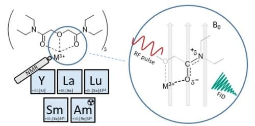 Spectroscopic Study on the Complexation of trivalent Actinide and Lanthanide ions with TEDGA in Solution