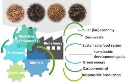 Towards the Integral Valorization of Olive Pomace‐Derived Biomasses through Biorefinery Strategies