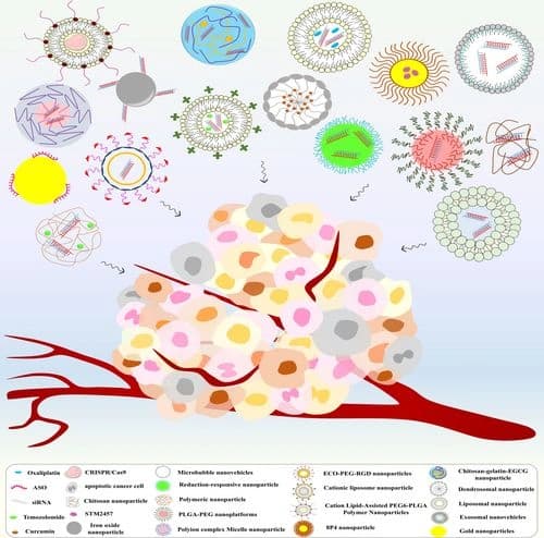 Nanomaterials‐Based Targeting of Long Non‐Coding RNAs in Cancer: A Cutting‐Edge Review of Current Trends