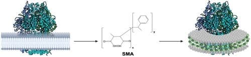 Advances in Membrane Mimetic Systems for Manipulation and Analysis of Membrane Proteins: Detergents, Polymers, Lipids and Scaffolds