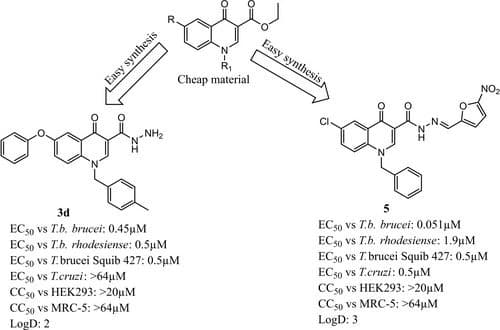 Tractable Quinolone Hydrazides Exhibiting Sub‐Micromolar and Broad Spectrum Antitrypanosomal Activities